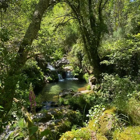 Land Of Deveza - Tiny São Pedro do Sul