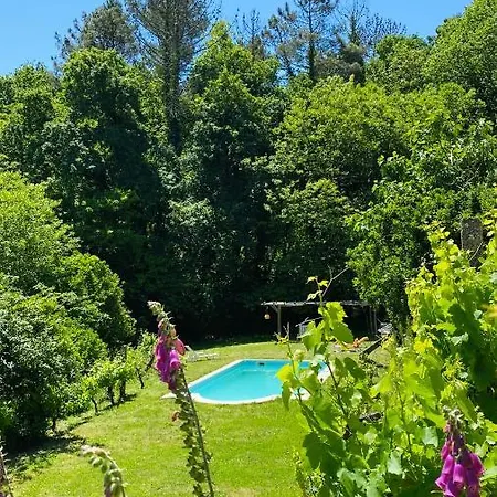 Chalé Land Of Deveza - Tiny *